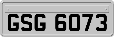 GSG6073