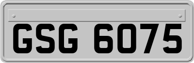 GSG6075