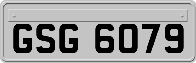 GSG6079
