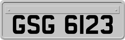 GSG6123