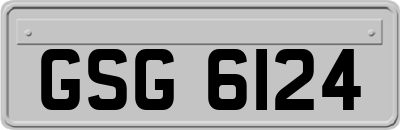 GSG6124