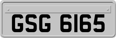GSG6165