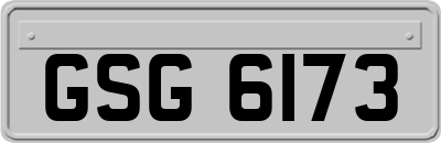GSG6173