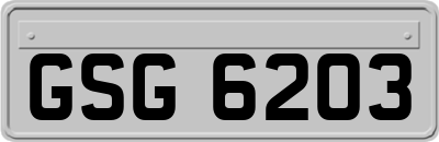 GSG6203