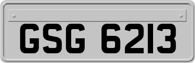 GSG6213