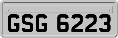 GSG6223