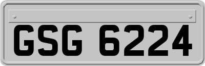 GSG6224