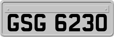 GSG6230