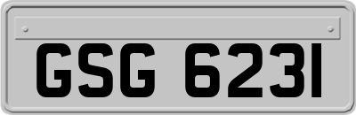 GSG6231