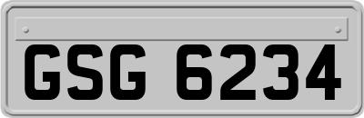GSG6234
