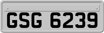 GSG6239