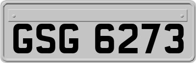 GSG6273