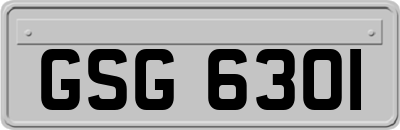 GSG6301