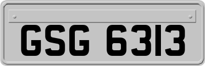 GSG6313