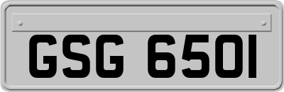 GSG6501