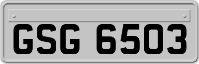 GSG6503