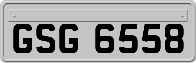 GSG6558