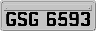 GSG6593