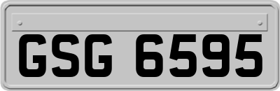 GSG6595