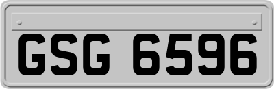 GSG6596