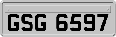 GSG6597