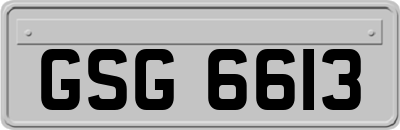 GSG6613