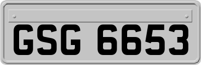 GSG6653