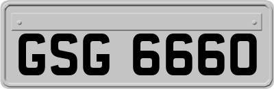 GSG6660