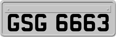 GSG6663