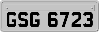 GSG6723