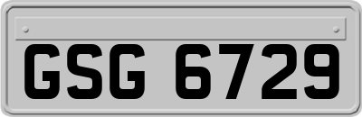 GSG6729