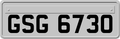 GSG6730