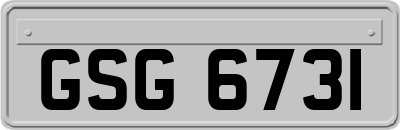 GSG6731