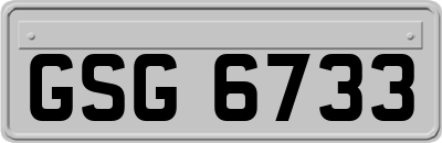 GSG6733