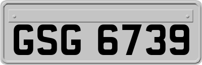 GSG6739