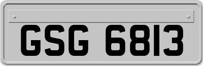 GSG6813