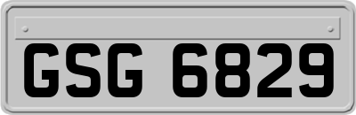 GSG6829