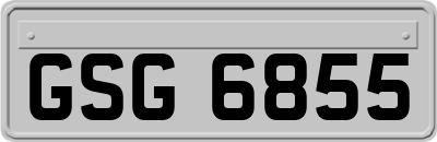 GSG6855