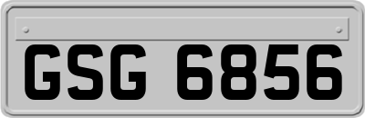 GSG6856