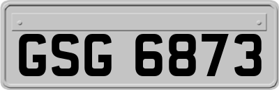 GSG6873