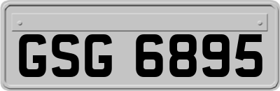 GSG6895