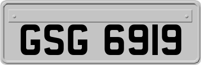 GSG6919