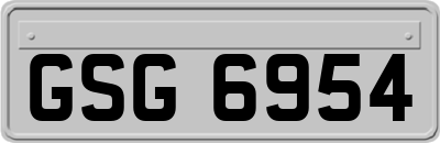 GSG6954