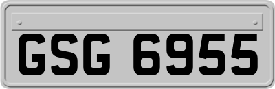 GSG6955