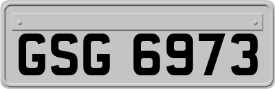 GSG6973
