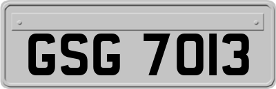 GSG7013