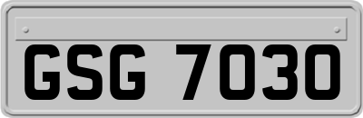 GSG7030