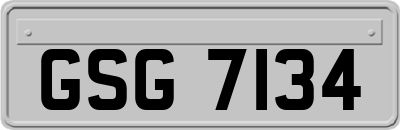 GSG7134