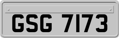 GSG7173