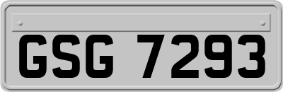 GSG7293